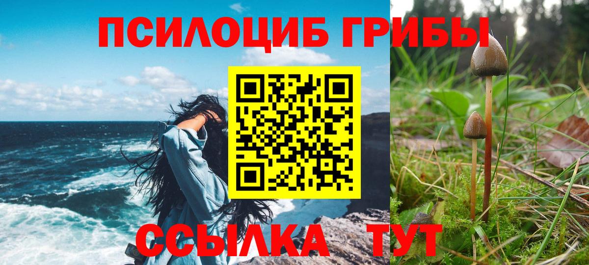 Псилоцибиновые грибы Magic Shrooms Алатырь